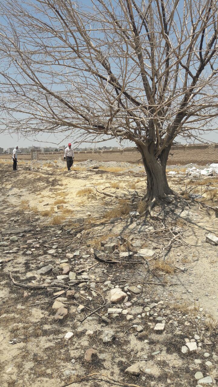 همه این تصاویر در بیابان خشک را بخاطر بسپارید چرا که در یکی دوسال آینده بدون پرسیدن آدرس در آن گم خواهید شد…تعاونی مسکن داروپخش